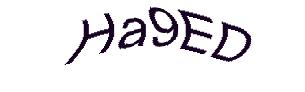 عبارت امنیتی