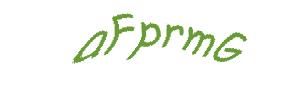 عبارت امنیتی