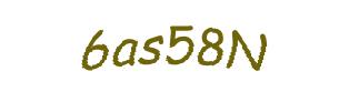 عبارت امنیتی