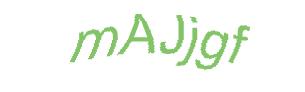 عبارت امنیتی