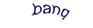 عبارت امنیتی