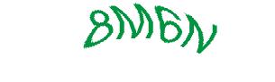 عبارت امنیتی