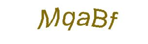 عبارت امنیتی