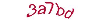 عبارت امنیتی