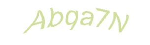 عبارت امنیتی