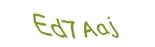 عبارت امنیتی