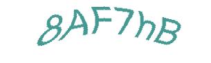 عبارت امنیتی