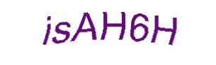 عبارت امنیتی