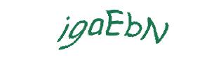 عبارت امنیتی