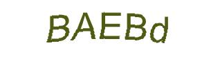 عبارت امنیتی