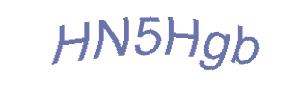 عبارت امنیتی