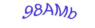عبارت امنیتی