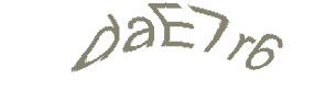 عبارت امنیتی