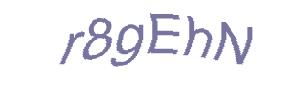عبارت امنیتی