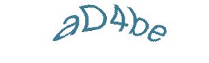 عبارت امنیتی