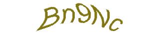 عبارت امنیتی
