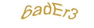 عبارت امنیتی