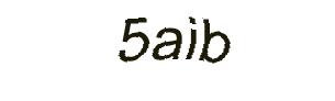 عبارت امنیتی