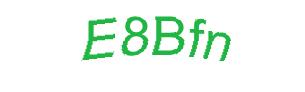 عبارت امنیتی