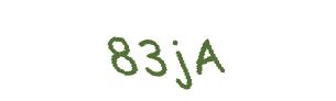 عبارت امنیتی