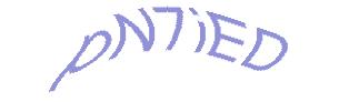 عبارت امنیتی