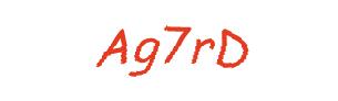 عبارت امنیتی