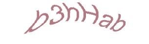 عبارت امنیتی