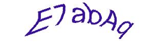 عبارت امنیتی