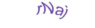عبارت امنیتی