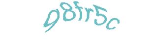 عبارت امنیتی
