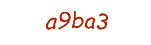 عبارت امنیتی