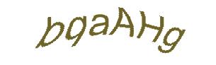 عبارت امنیتی