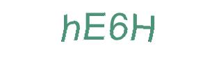 عبارت امنیتی