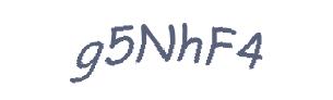 عبارت امنیتی