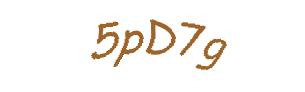عبارت امنیتی