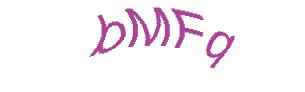 عبارت امنیتی