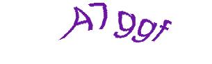 عبارت امنیتی