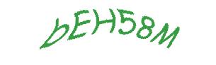 عبارت امنیتی