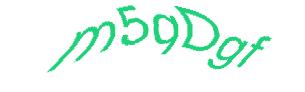 عبارت امنیتی