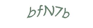 عبارت امنیتی