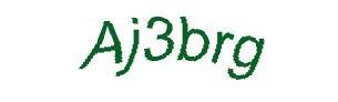 عبارت امنیتی
