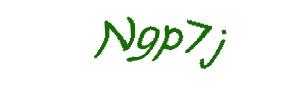 عبارت امنیتی