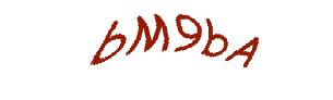 عبارت امنیتی