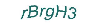 عبارت امنیتی