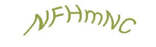 عبارت امنیتی