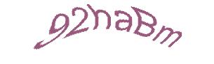 عبارت امنیتی