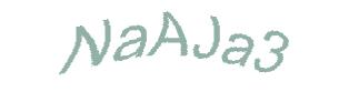 عبارت امنیتی