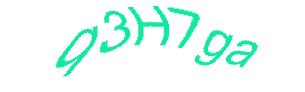 عبارت امنیتی