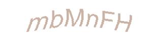 عبارت امنیتی