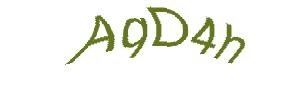 عبارت امنیتی